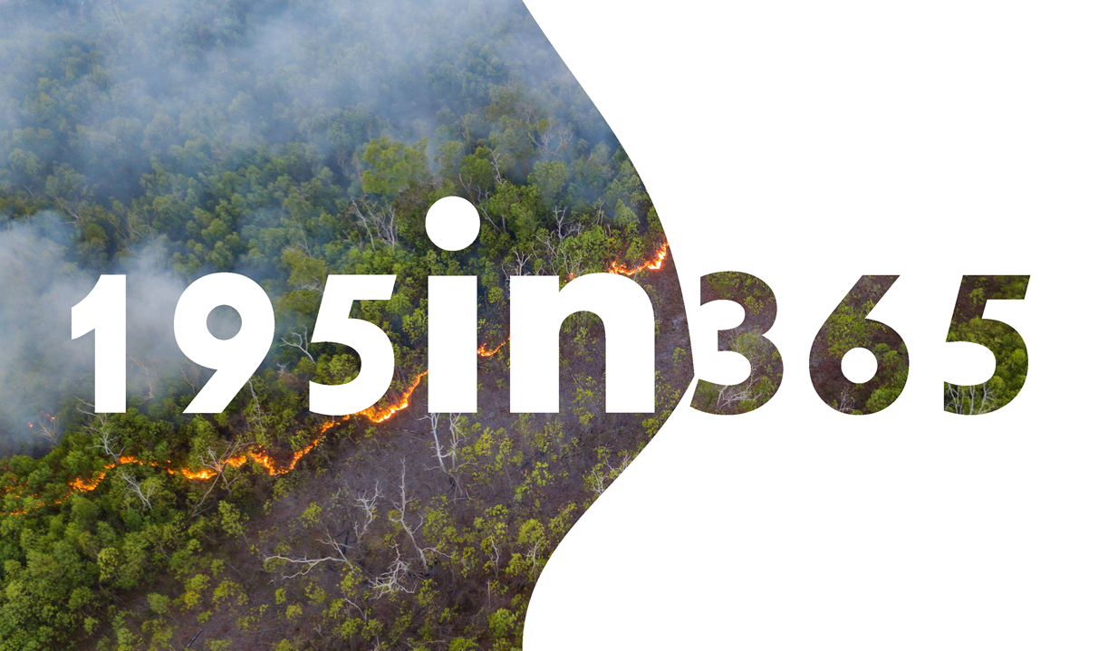 Image for 195in365